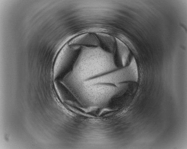 X0000100750852200807101701