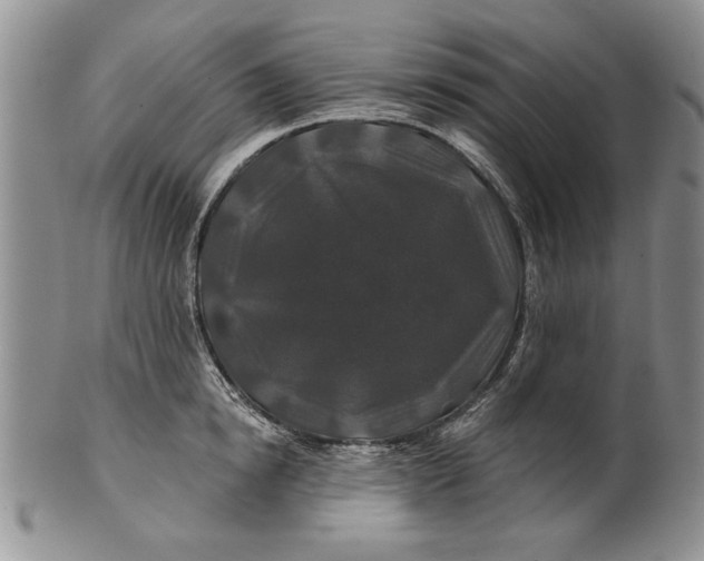 X0000100750854200807101701