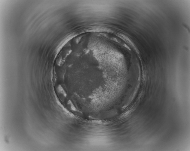 X0000100750855200807101701