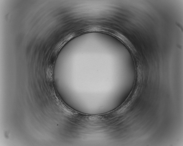 X0000100750857200807101701