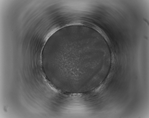 X0000100750858200807101701