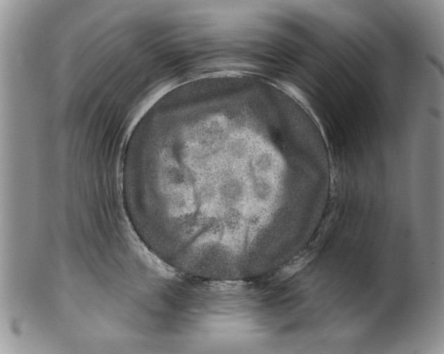 X0000100750859200807101701