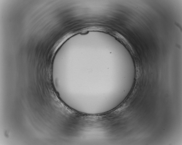 X0000100750860200807101701