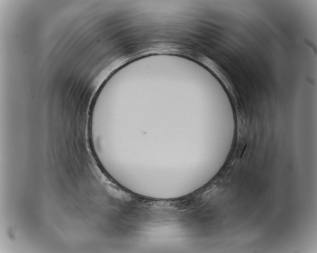 X0000100750861200807101701