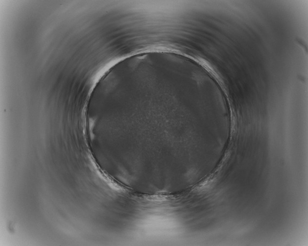 X0000100750862200807101701