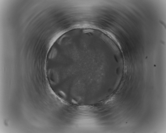 X0000100750863200807101701