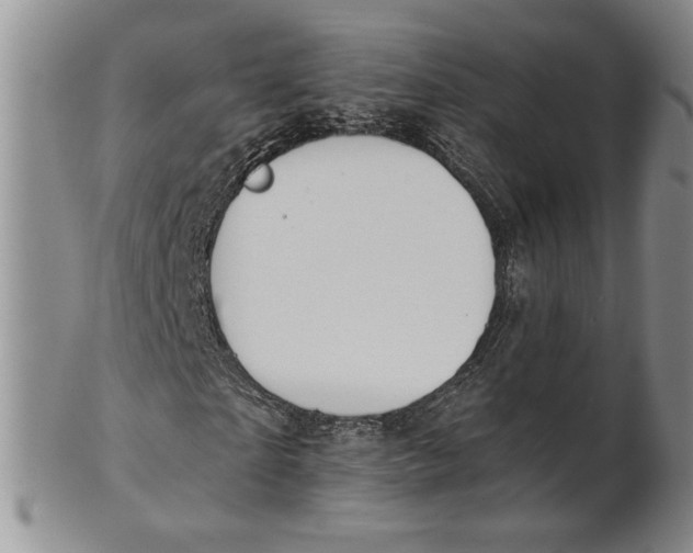 X0000100750865200807101701