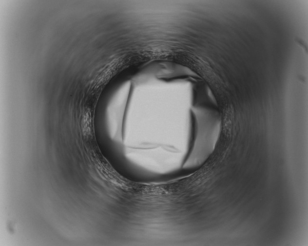 X0000100750866200807101701