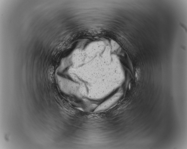 X0000100750867200807101701