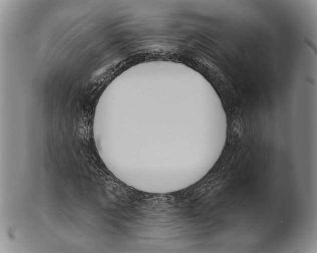 X0000100750869200807101701