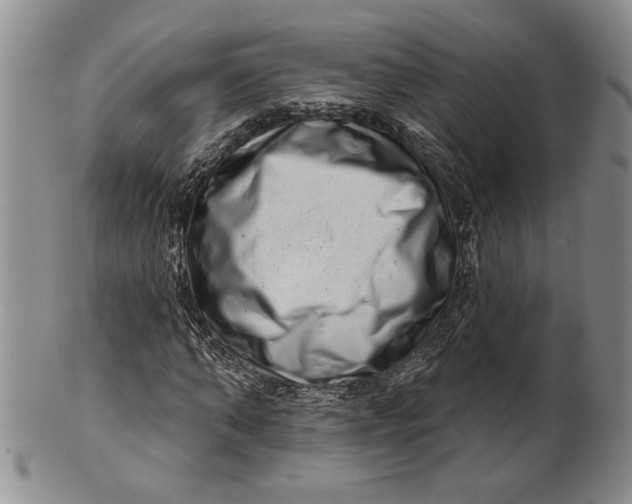 X0000100750870200807101700