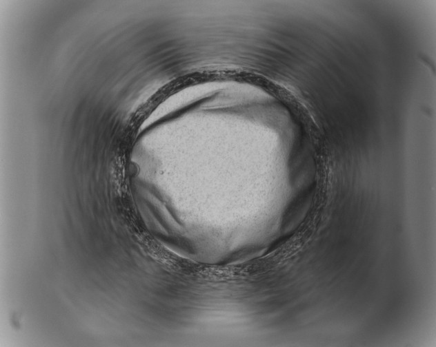 X0000100750871200807101700