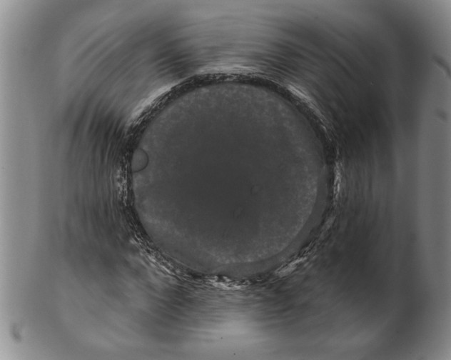 X0000100750872200807101700