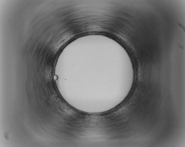 X0000100750873200807101700