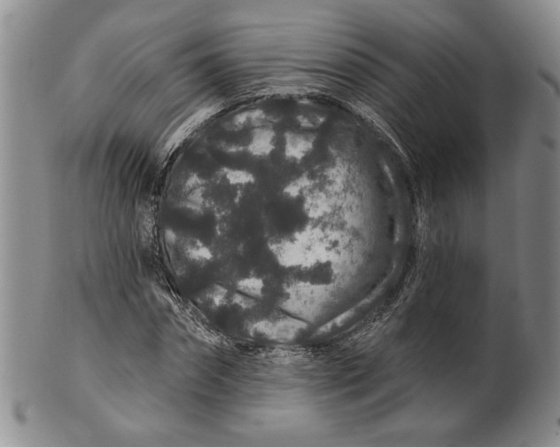 X0000100750874200807101700