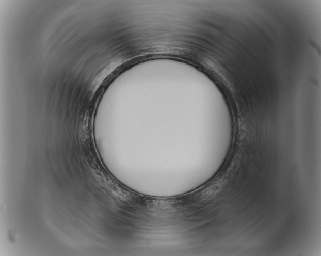 X0000100750875200807101700