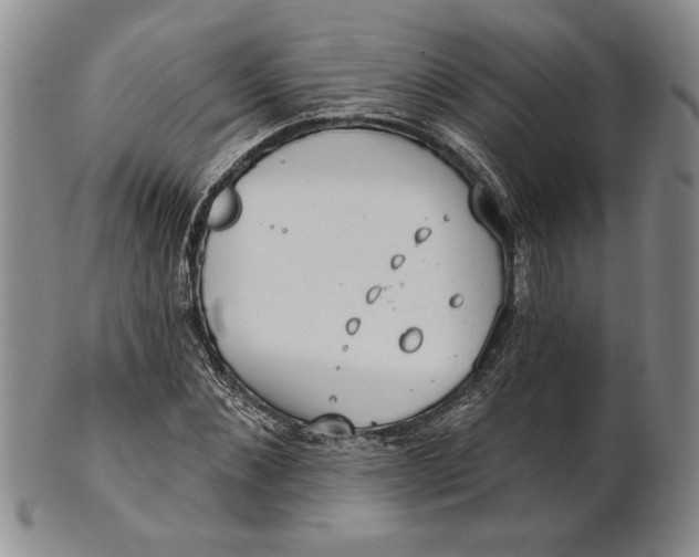 X0000100750876200807101700