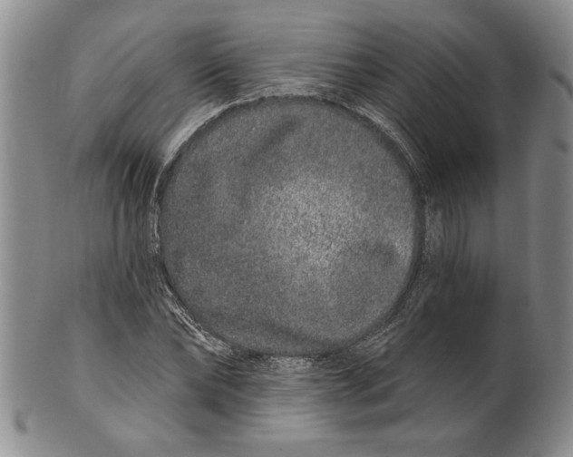 X0000100750878200807101700