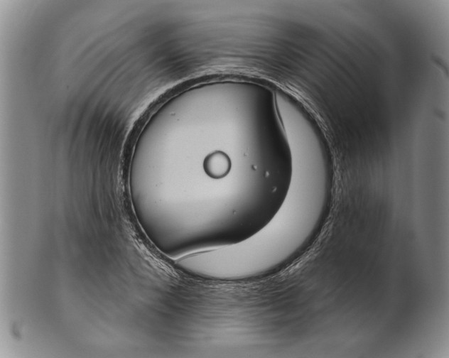 X0000100750880200807101700