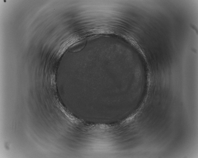 X0000100750881200807101700