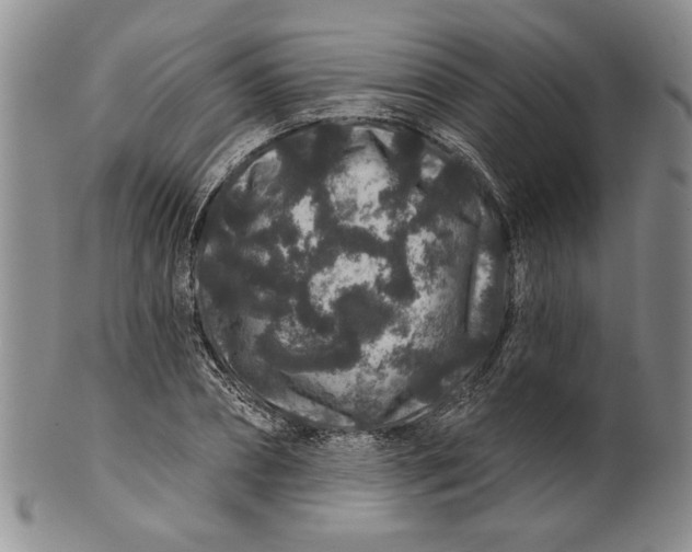 X0000100750882200807101700