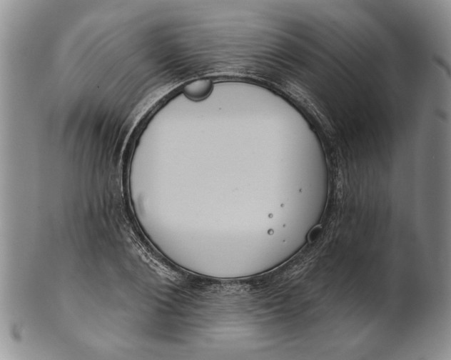 X0000100750884200807101700