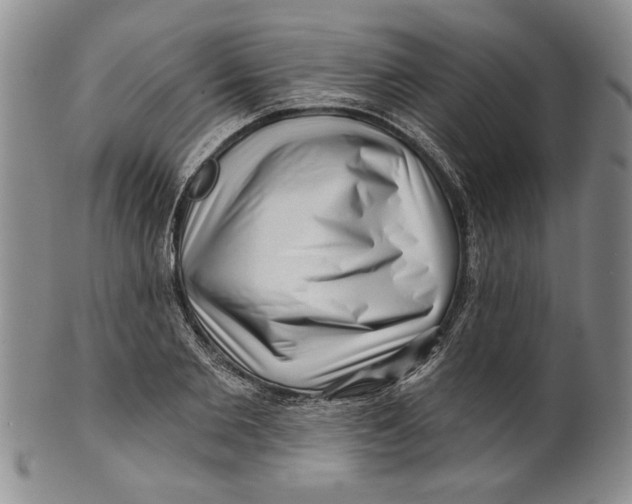 X0000100750885200807101700