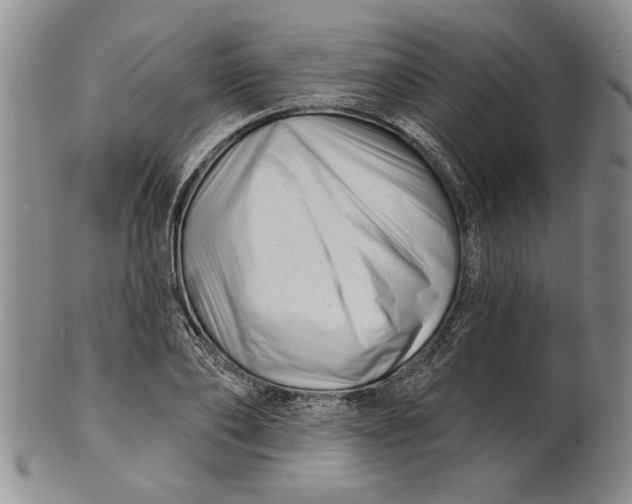 X0000100750886200807101700