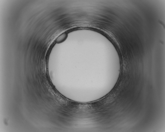 X0000100750887200807101700