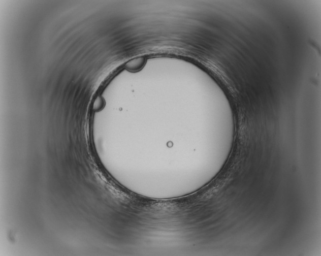 X0000100750888200807101700