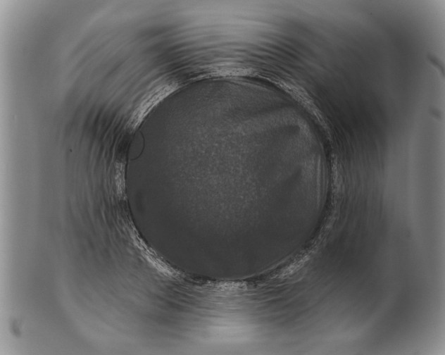 X0000100750889200807101700