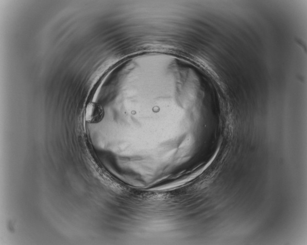 X0000100750891200807101700