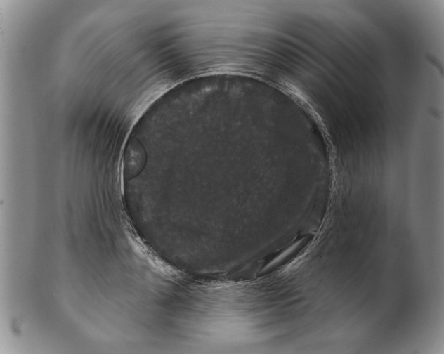 X0000100750892200807101700