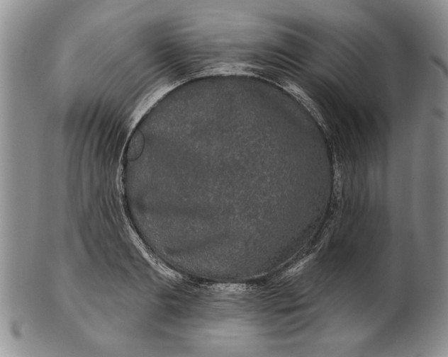 X0000100750893200807101700