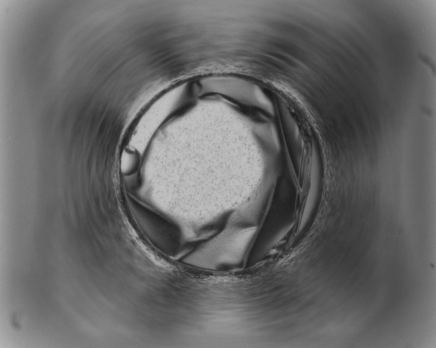 X0000100750894200807101700