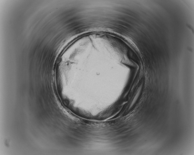 X0000100750895200807101700