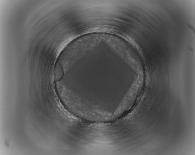 X0000100750896200807101700