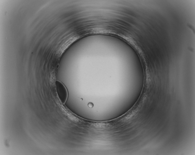 X0000100750897200807101700