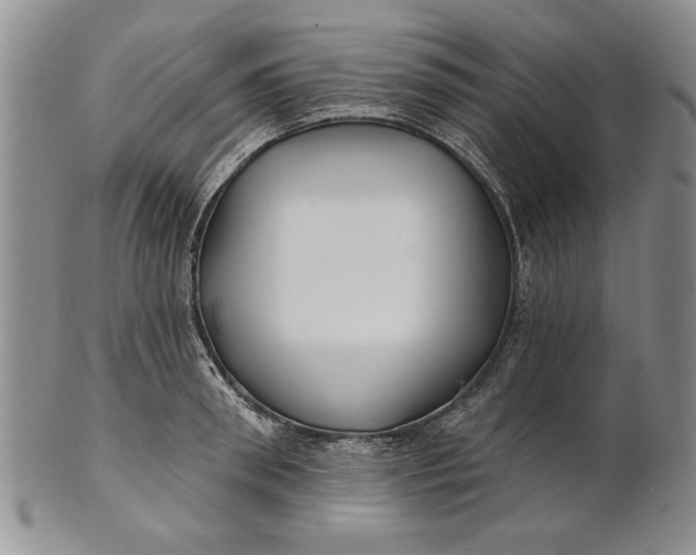 X0000100750898200807101700