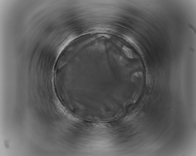 X0000100750899200807101700