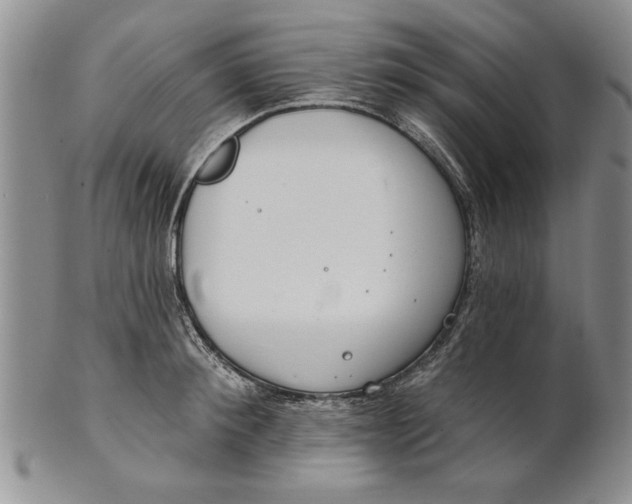 X0000100750900200807101700