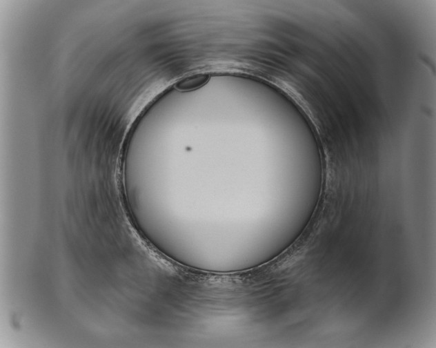 X0000100750901200807101700