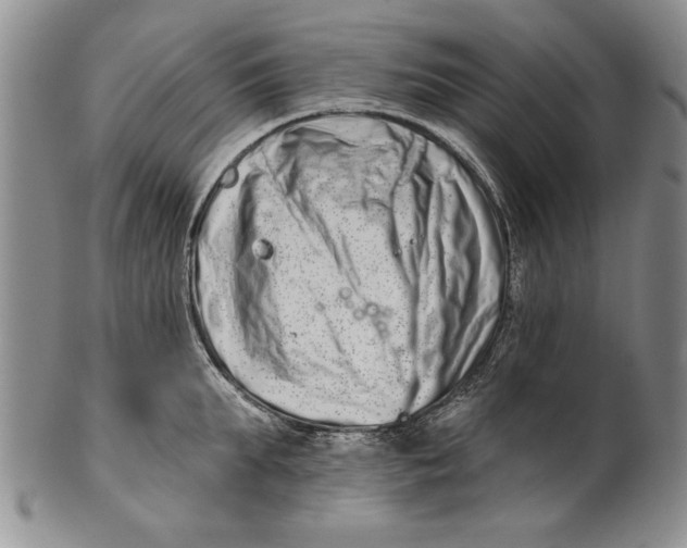 X0000100750903200807101700