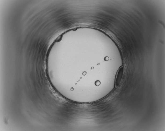 X0000100750904200807101700