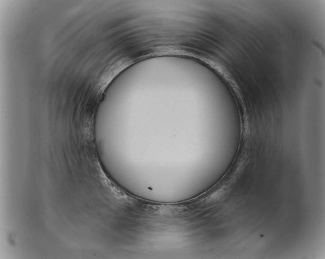 X0000100750905200807101700