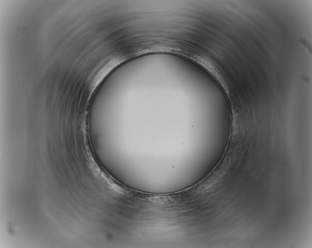 X0000100750906200807101700