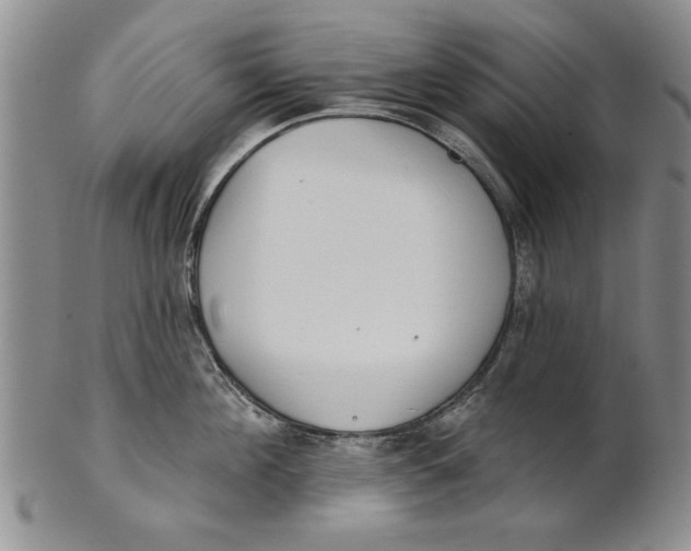 X0000100750908200807101700