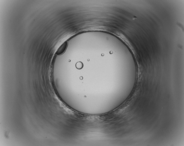 X0000100750909200807101700