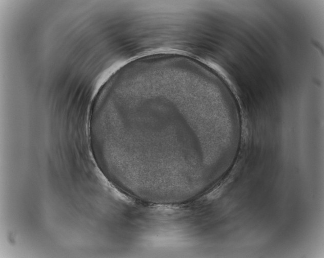 X0000100750910200807101700