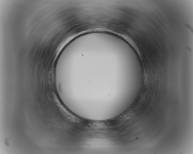 X0000100750911200807101700